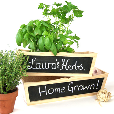 Chalkboard Planter Set